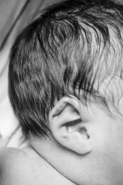 Black and white close-up portrait of a newborn baby's ear and dark wet hair.